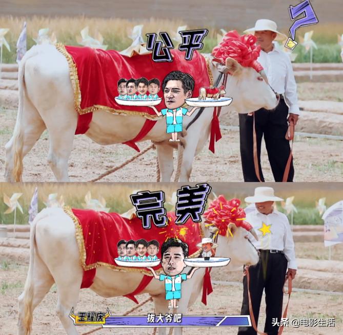 小镇公园里的拔河比赛，友谊与陪伴的美好时光