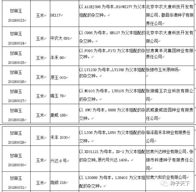 最新玉米品种审定，种子的奇妙旅程揭秘