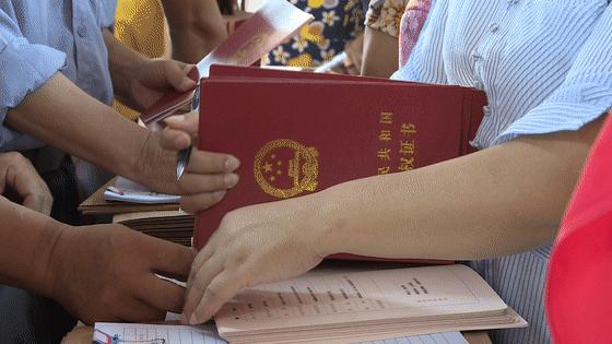 不动产登记最新动态更新概况