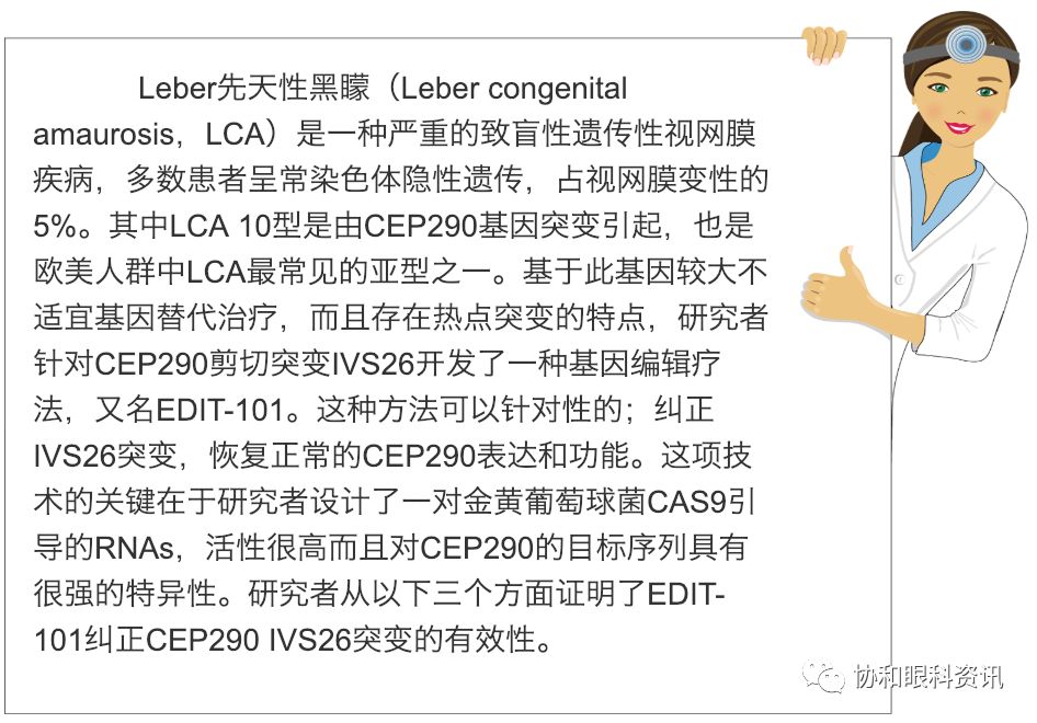 中国治疗Leber病最新进展，曙光照亮希望之路
