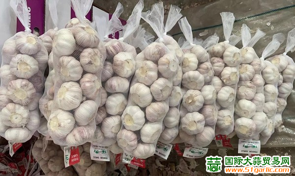 大蒜价格最新行情详解，今日行情及购买指南