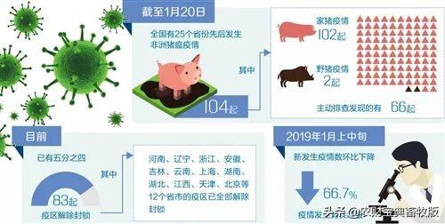 最新猪疫情预警与指南，养猪人必备知识！