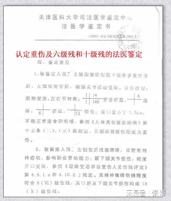 司法鉴定文书规范最新,司法鉴定文书规范最新，一次远离尘嚣，探寻内心平静的旅行之旅