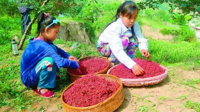 绞胎陶瓷工艺品销售 第10页