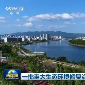 中国环保治理最新动态，小巷里的绿色奇遇