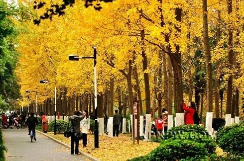 西安600路公交车最新线路指南及线路更新通知