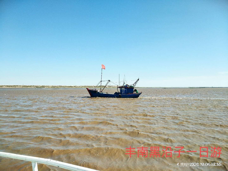 黑沿子最新动态，自然美景探索之旅，寻找内心平和与宁静的旅程