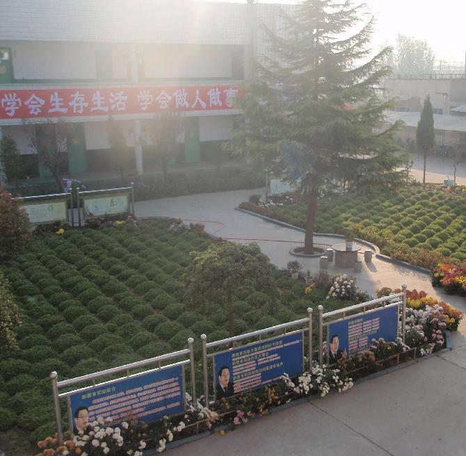 沁阳西向镇最新招聘，探索自然美景之旅，寻找内心的宁静与平和之旅