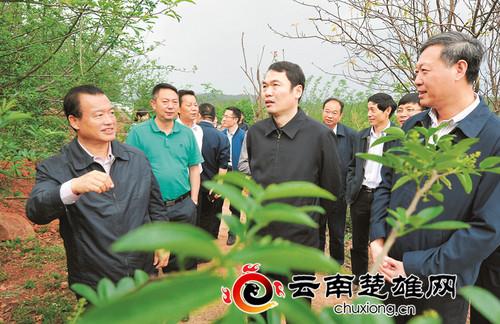 云南侯新华最新动态揭秘🌟